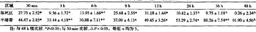 脑微循环(动物),微血管(血液)影像观察仪(动物),旁流暗视野,侧流暗视野,可视化微循环监测技术